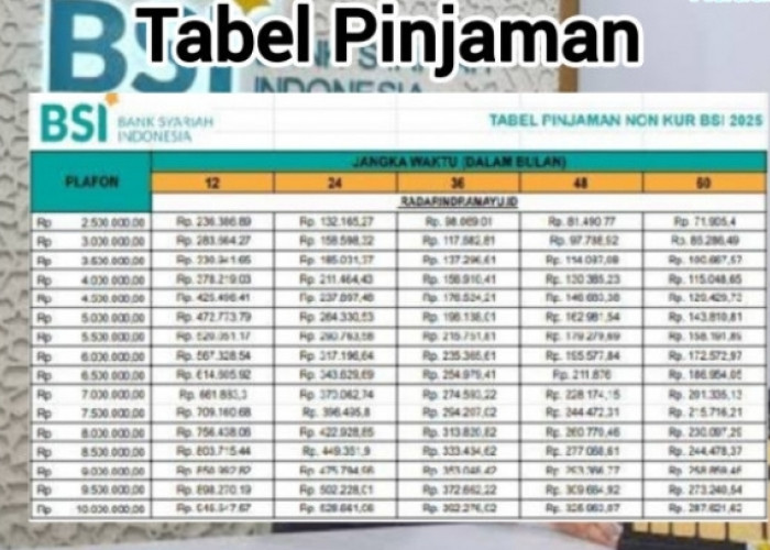 Dana Tambahan UMKM Anti Riba! KUR BSI 2025 Pinjaman Rp100 Juta Angsuran Berapa Untuk Ekspansi Bisnis 