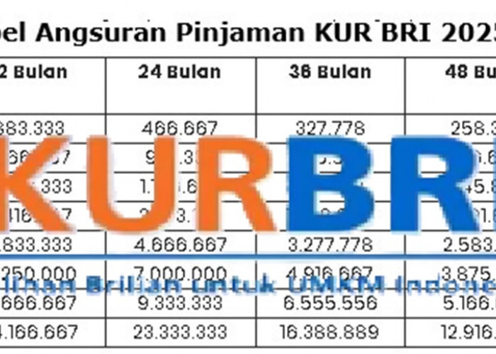 Dapatkan Pinjaman Modal Usaha Hingga Rp500 Juta dari KUR BRI 2025! Cek Tabel Angsuran Terbarunya di Sini!