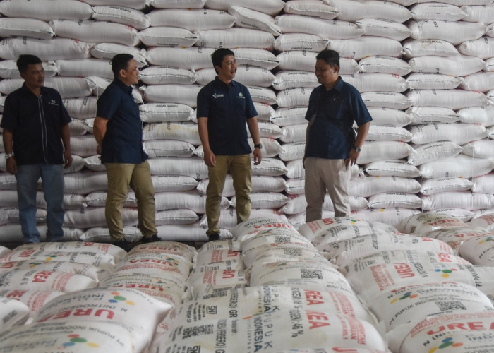Jaga Keandalan Pabrik dan Produksi, Pupuk Kujang Implementasikan Kebijakan Energi Baru