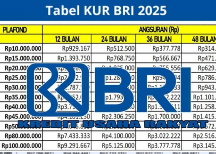 Apa Saja Syarat dan Ketentuan KUR BRI 2025? Cek di Sini! 