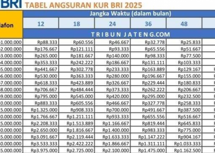 Angsuran KUR BRI 2025 Lengkap dari Rp 1 Juta sampai Rp 100 Juta! Ini Cara Cerdas Pinjam Uang Rendah Bunga!