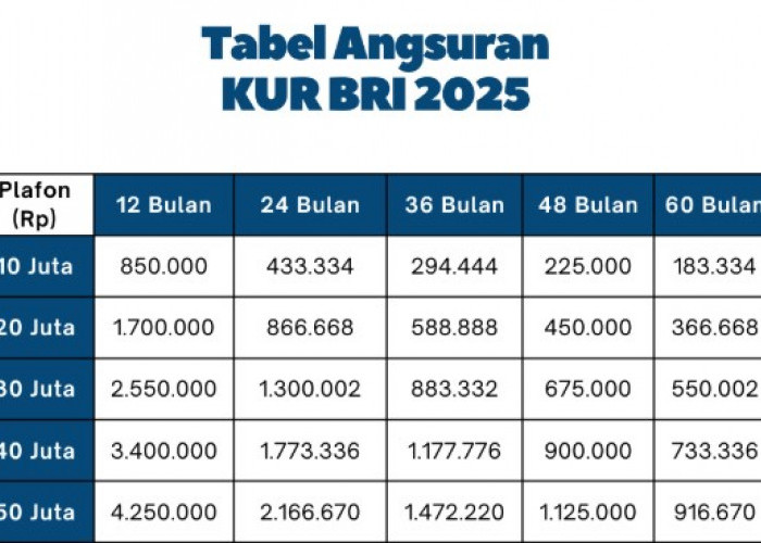 Berapa Angsuran KUR BRI Rp50 Juta? Ini Rincian Simulasi Cicilan Per Bulannya, Mulai Rp160 Ribuan Aja!