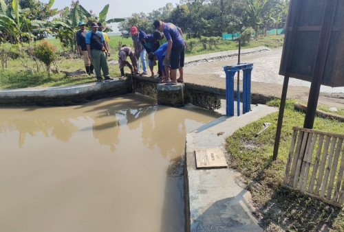 Musim Tanam Gadu, Jamin Kebutuhan Air Petani