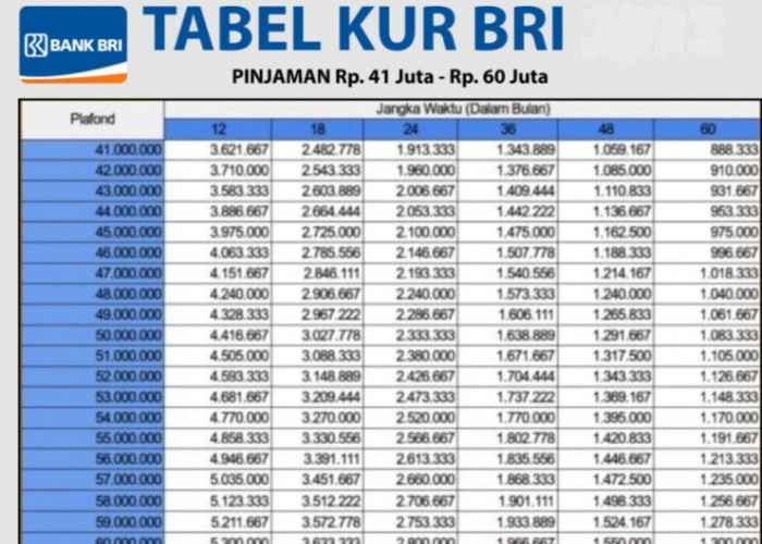 Cicil Mulai 146 Ribu, Berikut Skema Pinjaman KUR BRI 100 Juta dengan Tenor Hingga 5 Tahun