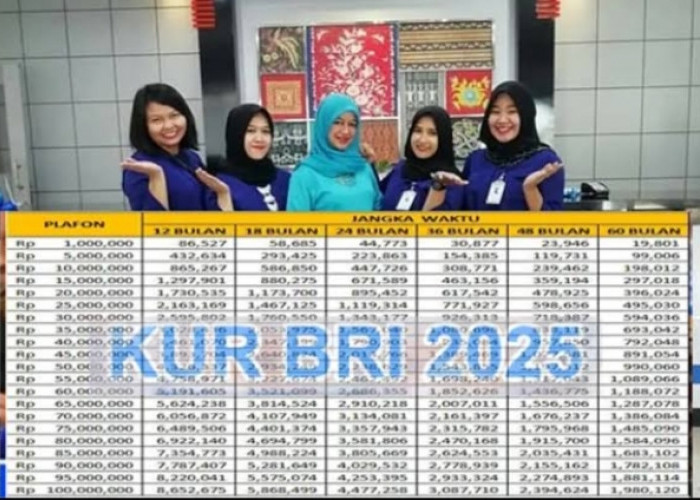 Lebih Ringan Lagi, Tabel KUR BRI 2025 Pinjaman Rp100 Juta Cicilan 2 Juta per bulan! Cek Skema Persyaratannya 