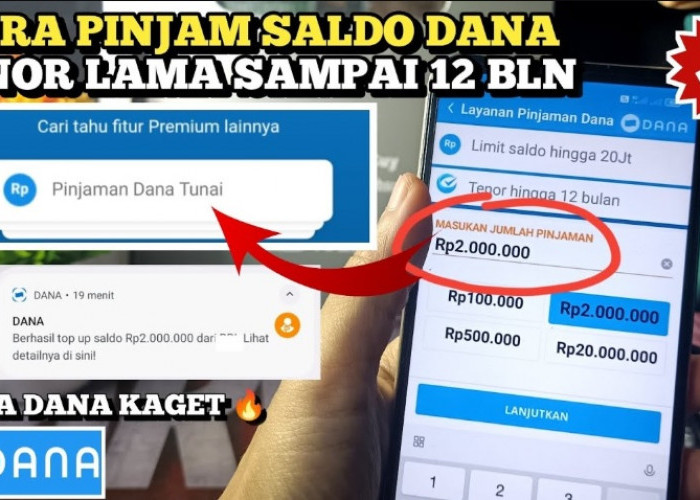 Ini Cara Aktifkan Fitur Pinjam Saldo Dana Tanpa Dana Paylater, Dapatkan Limit Pinjaman Hingga 10 Juta Rupiah
