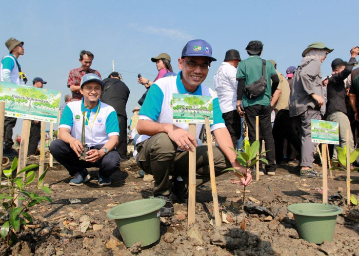Jaga Kelestarian Lingkungan dan Cegah Abrasi, PLN Nusantara Power Telah Tanam 100 Ribu Manggrove