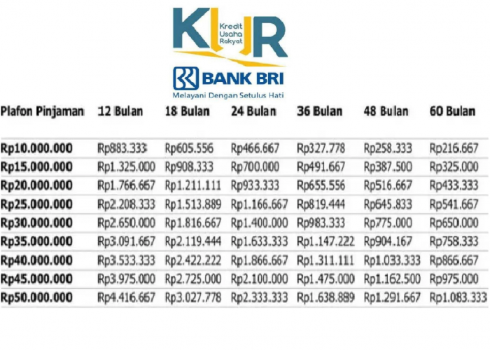 Berikut Kriteria Penerima KUR Mandiri 2025 atau RAC Mandiri, Serta Rincian Tabel Angsuran Rp50 Juta