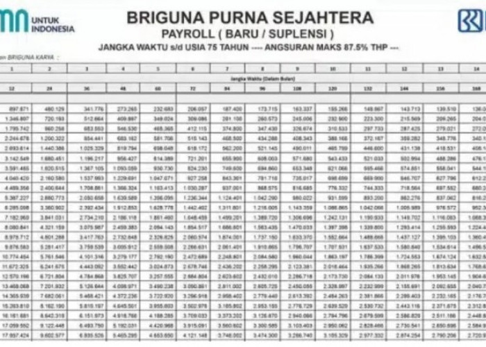 Bank BRI Hadirkan Skema Pinjaman Pensiunan BRIGuna Purna Pinjaman Hingga Rp500 Juta Cicilan Hanya Rp133 Ribu 