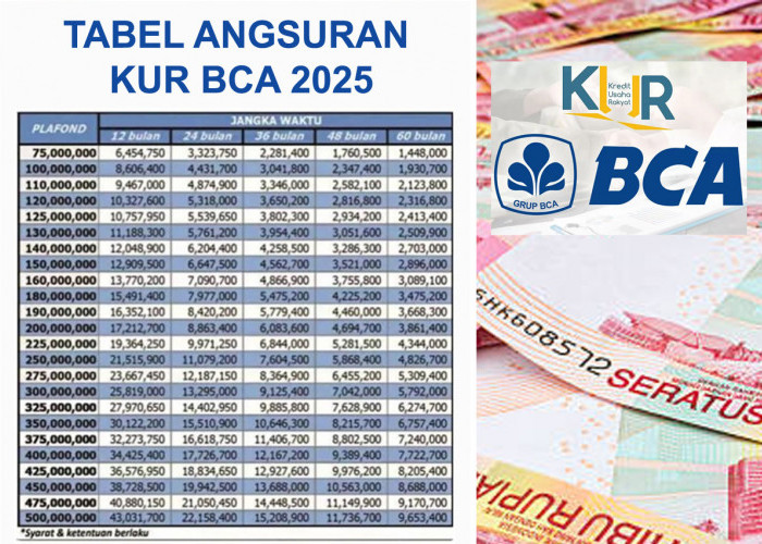 Cara Ajukan KUR BCA 2025: Modal Usaha Rp500 Juta, Bunga Ringan dan Tanpa Biaya Admin, Cek Cicilan Terendah