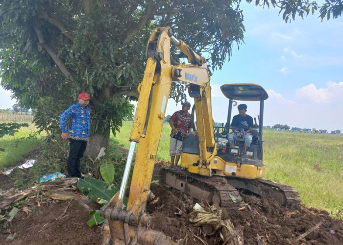  Normalisasi Irigasi, Terjunkan Eskavator