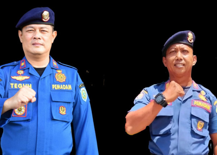 Penghujan, Satpol PP dan Damkar Indramayu Himbau Masyarakat Waspadai Pohon Tumbang dan Sambaran Petir