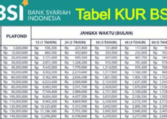 Skema Pembiayaan Pinjaman KUR BSI Plafon Rp500 Juta: Dapatkan Cicilan Rp45 Ribu Tanpa Terbebani Bunga 
