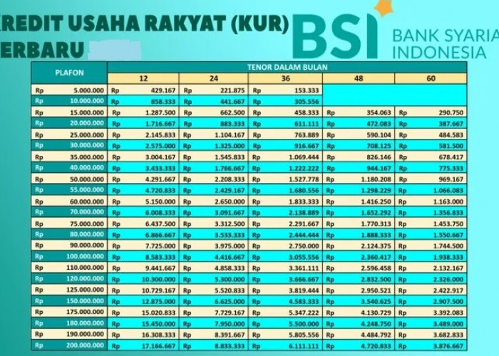 Rincian Cicilan Pinjaman KUR BSI 100 Juta, Dapatkan Angsuran Mulai dari 193 Ribuan Lengkap Beserta Tabel