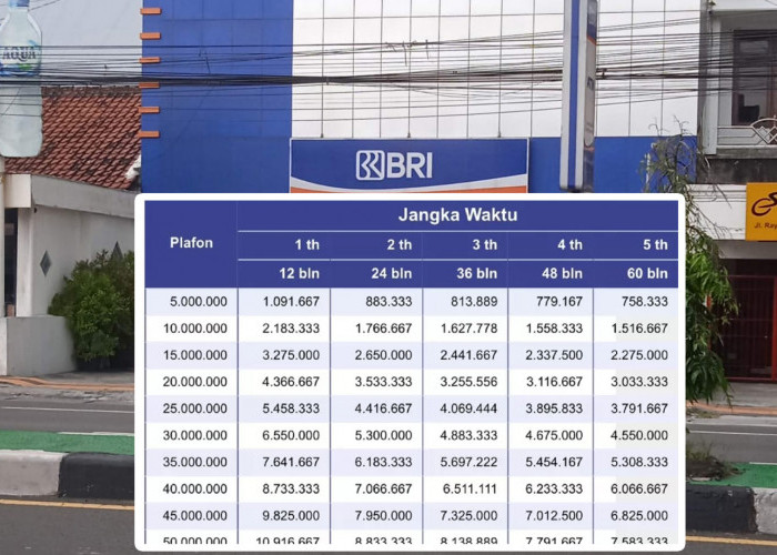 PPPK Wajib Tahu! Pinjaman Khusus Guru Sertifikasi di Bank BRI hingga Rp500 Juta Tanpa Agunan, Cek Biaya Admin 