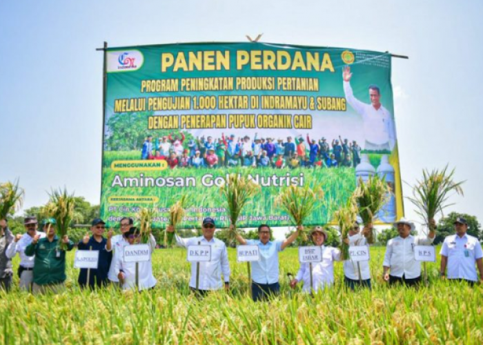 Kabupaten Indramayu Jadi Percontohan Nasional Pertanian Organik