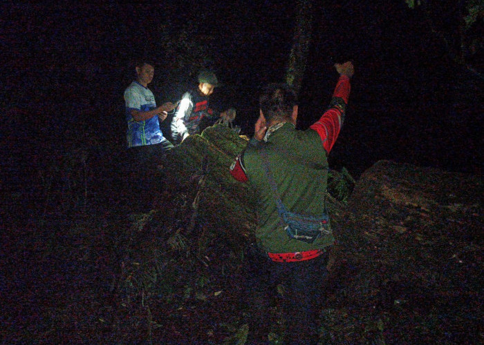 Patroli Malam Babinsa dan Polhut TNGC Berhasil Ungkap Pembalakan Liar di Pasawahan