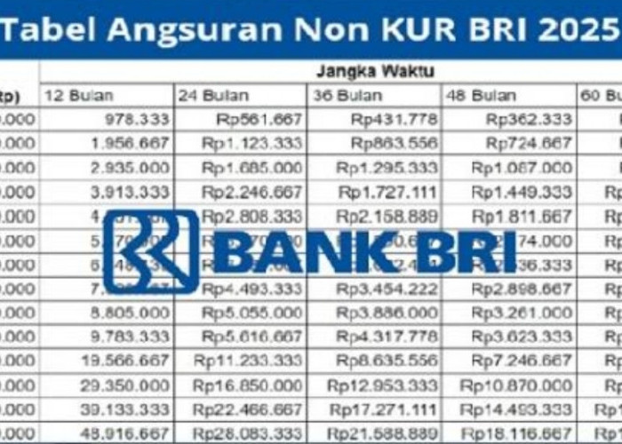 Pinjaman Non KUR BRI Bisa Buat Renovasi Rumah Selain Buat Modal Usaha, Cek Angsuran Terendah Disini
