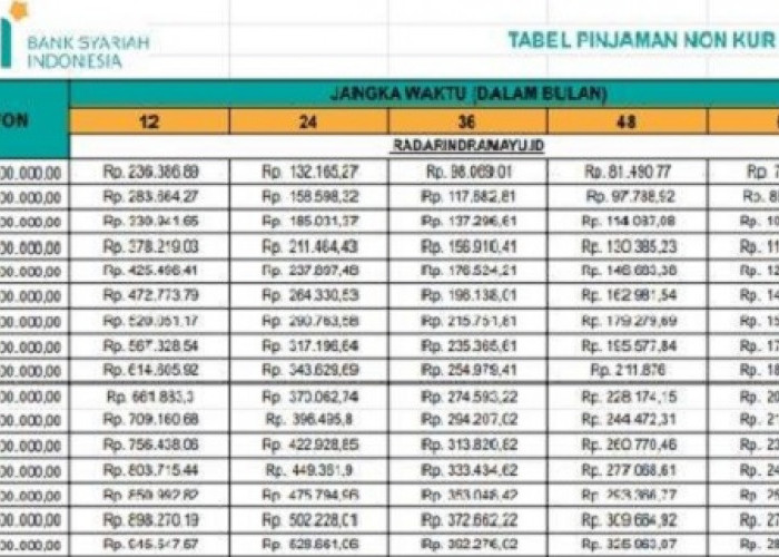 Skema Pinjaman Non KUR BSI 100 Juta: Cicilan Mulai 21 Ribuan Tanpa Perlu Jaminan Cocok untuk UMKM