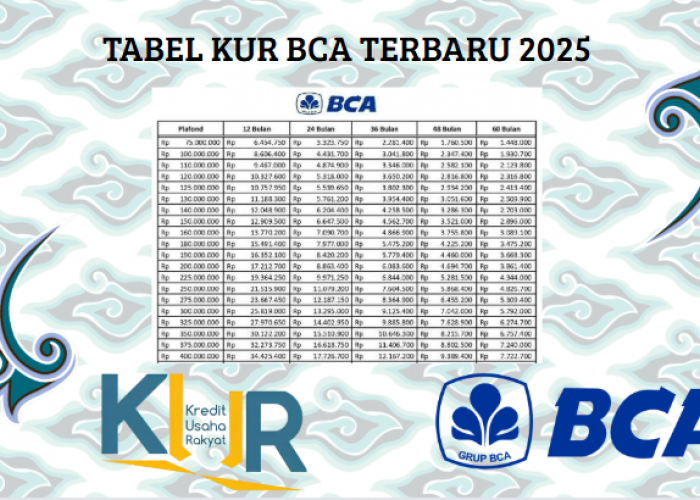 UMKM Dijamin Naik Kelas Dan Sejahtera! Pinjaman Modal KUR BCA 2025 Tanpa Ribet Proses Cepat!