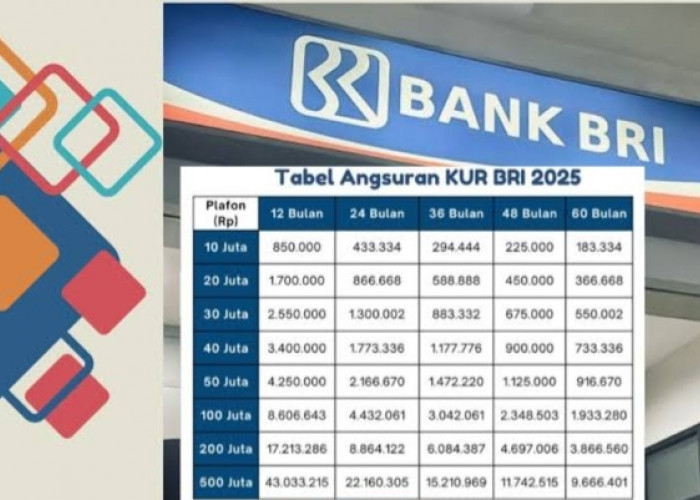 Syarat Mudah dan Cair Cepat! Untung ada Tabel KUR BRI Pinjaman 200 Juta, Para UMKM Diberi Bunga Terendah 