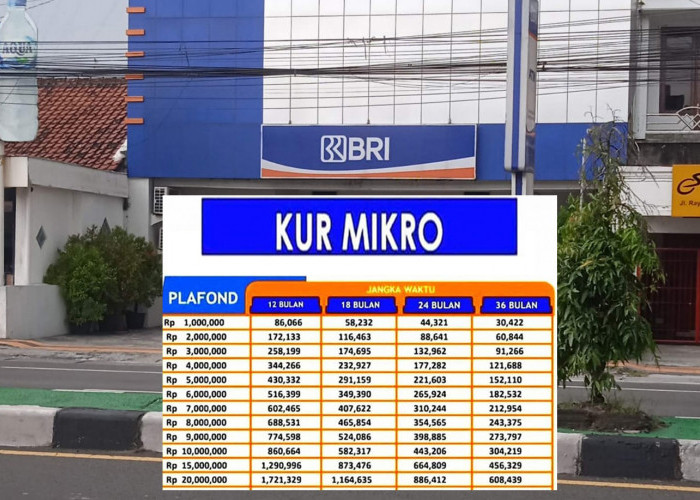 Bunga KUR 2025 Turun Jadi 3 Persen! Berapa Limit KUR Mikro BRI? Cek Tabel Angsuran Terbaru, Mulai 150 Ribu