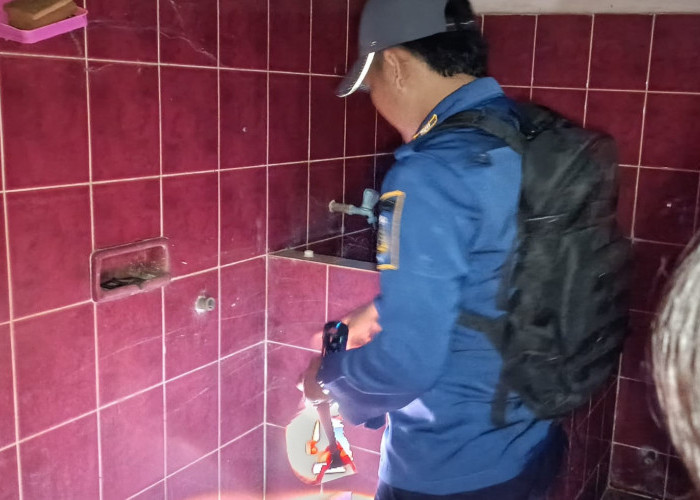 Musim Penghujan Warga Diminta Waspadai Ular Masuk Rumah