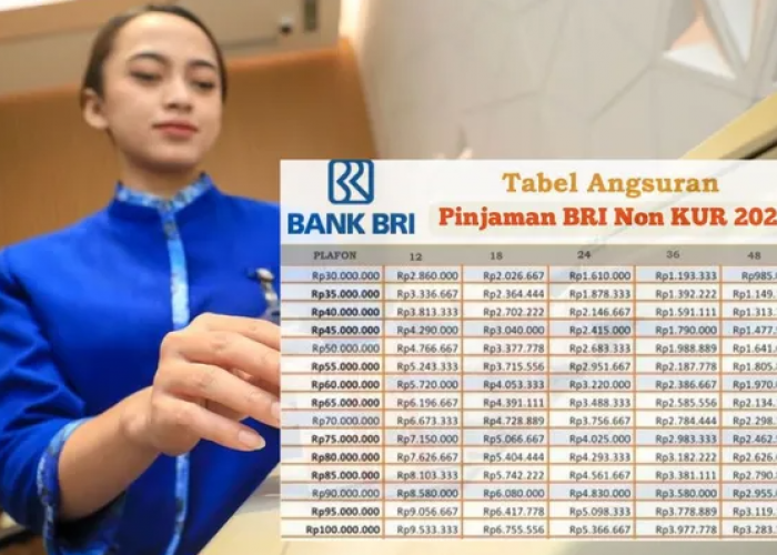 Jangan Kaget! Bunga Non-KUR BRI 2025 Bisa Bikin Angsuran Stabil, Ini Dia Simulasi Pinjamannya!