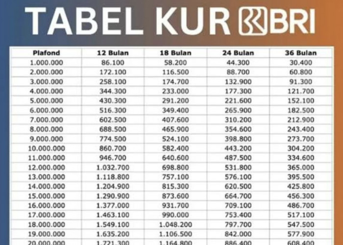 Khawatir Usaha Nggak Jalan? Simak Tabel Angsuran KUR BRI 2025 & Syarat Pinjamannya! 