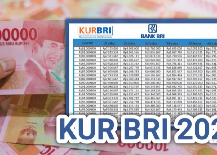 Tabel KUR BRI 2025 Rp150 Juta Terbaru: Cicilan Ternyata Lebih Murah dari Dugaan!