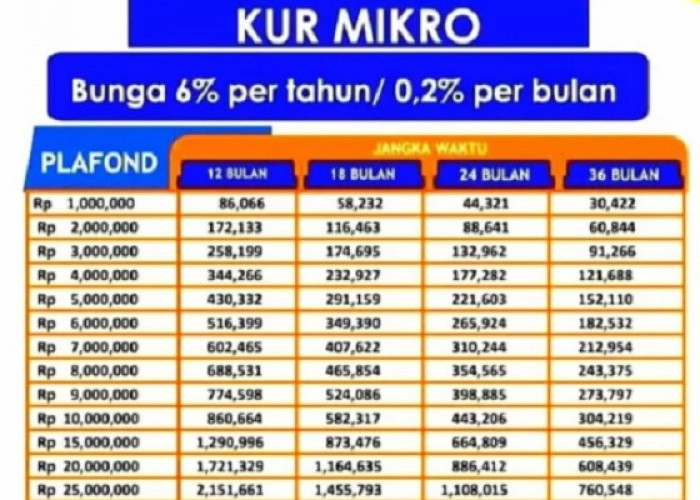 Simulasi Angsuran KUR BRI 50 Juta 3 Tahun, Dapatkan Tenor dan Cicilan Mulai dari 1 Juta Ini Tabel Lengkapnya