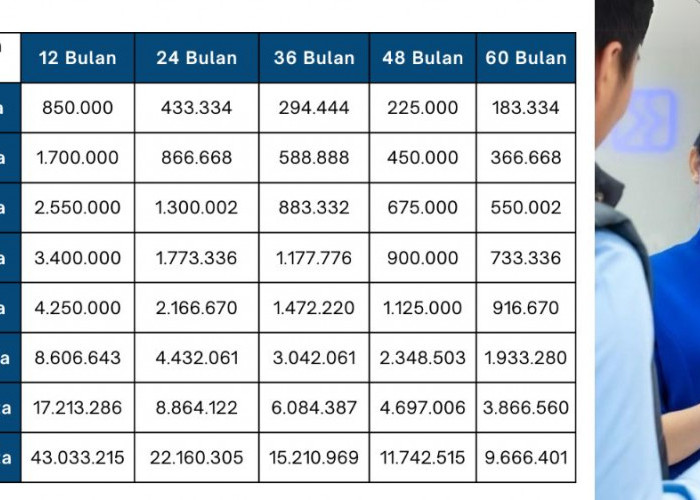 Syarat Pinjaman Bank BRI Tanpa Jaminan untuk Usaha Kecil, Simak Dulu Panduan dan Cara Cepat Agar Disetujui!