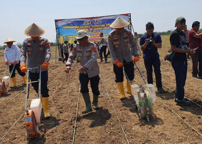 Swasembada Pangan, Polda Jabar dan Polres Indramayu Gelar Tanam Jagung Serentak di Gantar