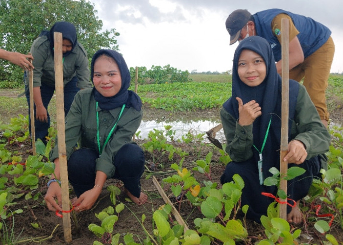 Himbio Unwir Rayakan Dies Natalis ke-17 dengan Aksi Lingkungan di Pantai Ketapang