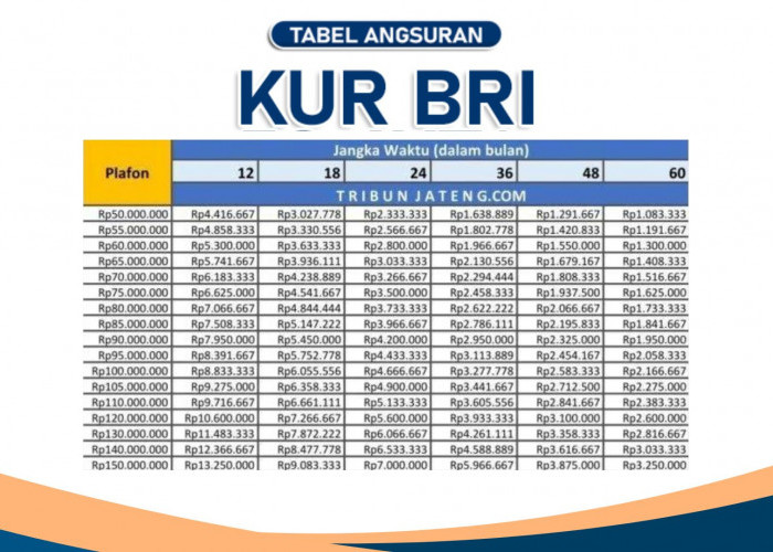 Ini Detail Angsuran KUR BRI 100 Juta 5 Tahun Tenor, Serta Cara Mengajukan Pinjaman Agar Cepat ACC