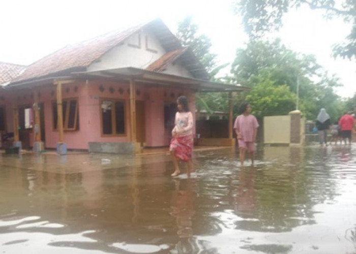 Akibat Drainase Buruk dan Curah Hujan Tinggi, Puluhan Rumah Terendam Banjir