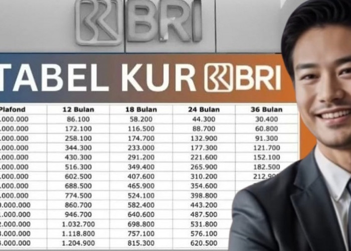 Update Simulasi KUR BRI 2025, Bunga 3 Persen untuk Plafon 5-10 Juta Bebas Jaminan, Syarat Gampang Pasti Cair