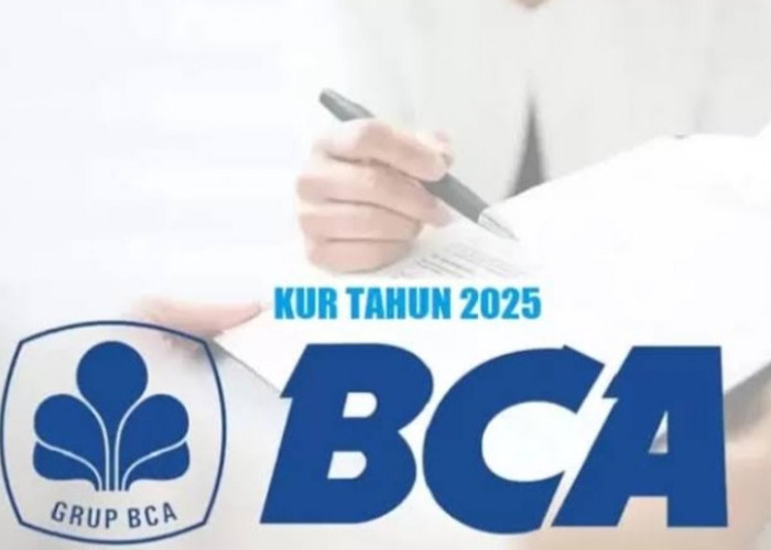 Pinjaman KUR BCA Tanpa Jaminan Plafon Rp10-500 Juta, Bebas Biaya Administrasi! Suku Bunga 6% Pertahun 
