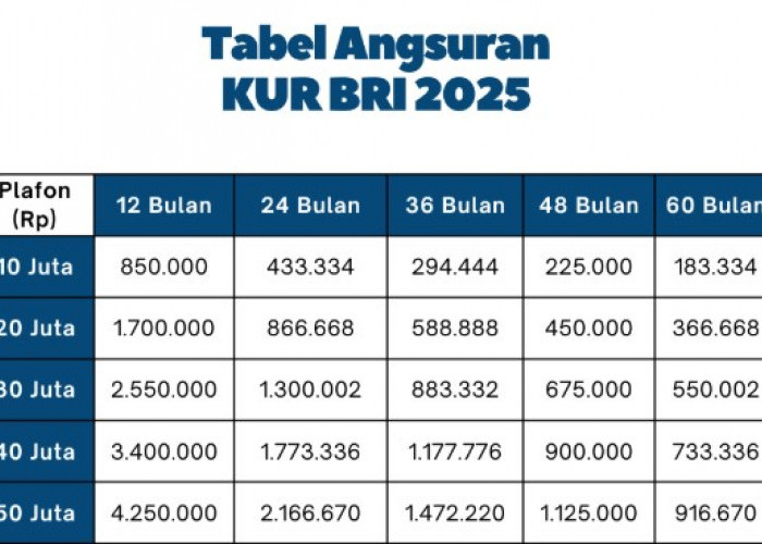 Ini Daftar Tabel Angsuran Pinjaman KUR BRI 2025 Untuk Pinjaman 10 Juta Hingga 50 Juta, Serta Cara Daftarnya