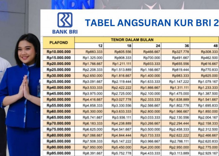 Rincian Tabel Angsuran KUR BRI 2025 Pinjaman 50 Juta Lengkap dengan Syarat Mudah dan Tenor hingga 5 Tahun   