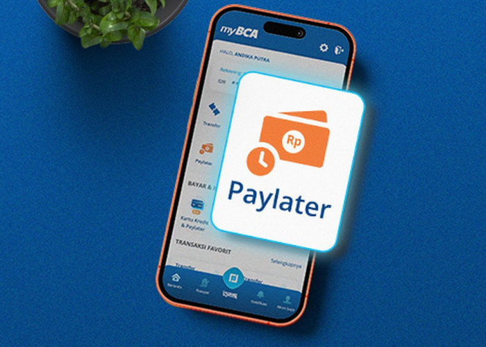 Cuma Modal KTP dan BCA ID, Bisa Belanja Sekarang Bayar Nanti! Begini Cara Daftar Paylater BCA Limit Rp20 Juta