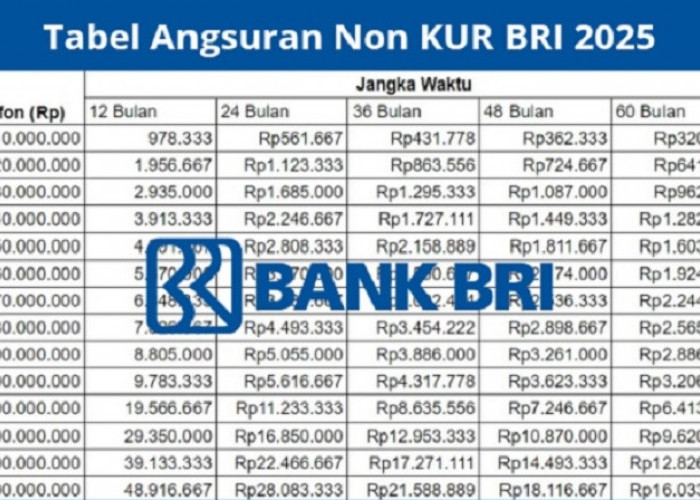 Skema Terbaru Pinjaman Non KUR BRI 2025, Berikut Detail Angsurannya Mulai dari 146 Ribu