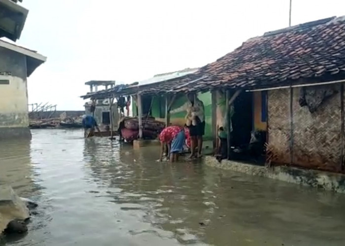 Banjir Rob Kembali Terjang Eretan 