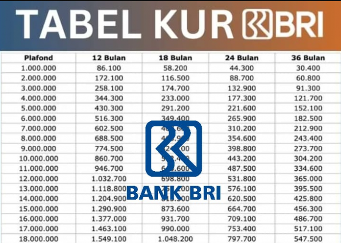 Suku Bunga Pinjaman KUR BRI 2025 Hanya 6 Persen Per Tahun! Intip Simulasinya Disini!