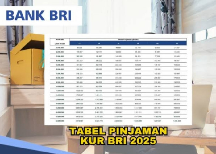 Pinjaman Dana UMKM, Cair Cepat Cicilan Ringan! Tabel Angsuran KUR BRI 2025 Rp150 Juta Tenor Maksimal 