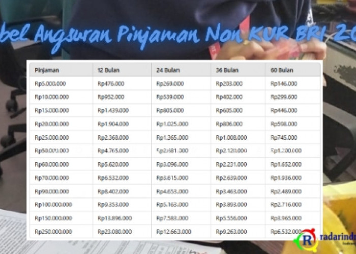 Tabel Pinjaman Non KUR BRI 2025, Bunganya Bervariasi Tapi Relatif Ringan, Simak Penjelasan Berikut Ini! 