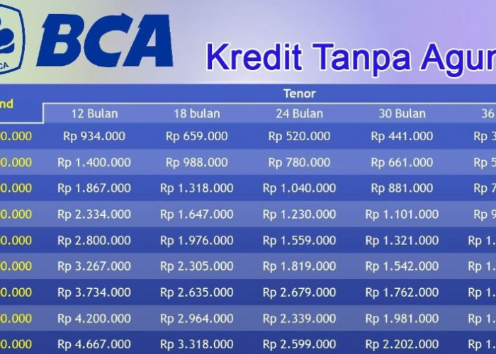 Simulasi KUR BCA Pinjaman 50 Juta Tanpa Agunan, Berikut Rincian Tabelnya Lengkap dengan Syarat Pengajuannya