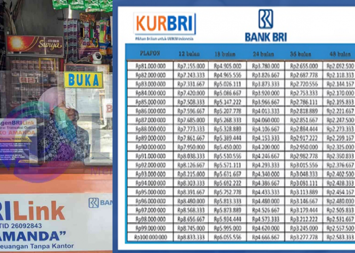 Cocok untuk Pemula! KUR BRI 2025 Plafon Rp50 Juta Bisa Cair Tanpa Jaminan, Simak Tenor dan Cicilannya di Sini