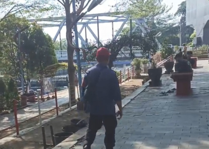 Warga Indramayu Kota Dihimbau Waspadai Keberadaan Monyet Liar