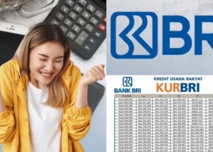 KUR Pinjaman Rp100 Juta di Bank BRI, Angsuran & Tenor yang Fleksibel! Ajukan Hutang Untuk Usaha UMKM 